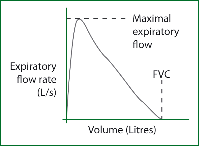 Normal Flow Curve Image